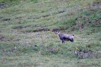 TIR_20160924_0069