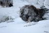 TIR_20170201_8531
