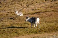 TIR_20170914_1866