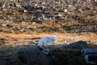 TIR_20170915_2153