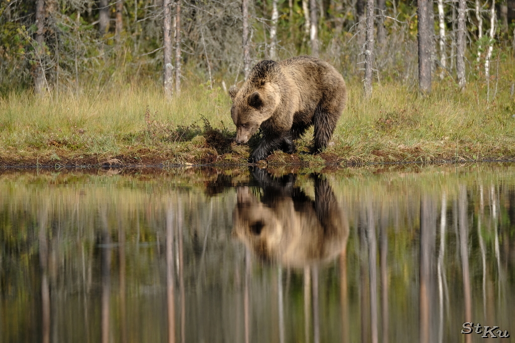 Finnland September 2019